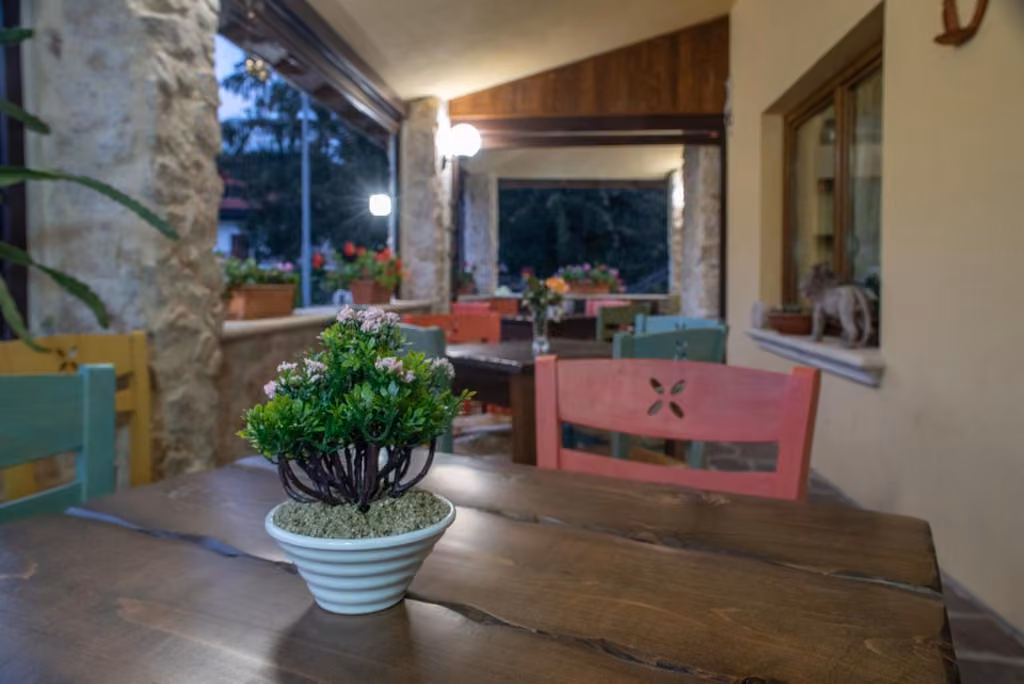 Il giardino dell'Albergo Ad Astra con gli alberi e i tavoli all'aperto